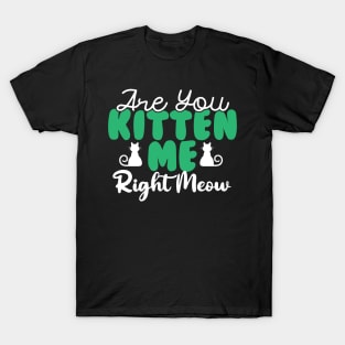 Are You Kitten Me Right Meow T-Shirt